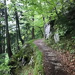 Ciao-aschau Haus Zur Burg Terrassenstueberl 113 *